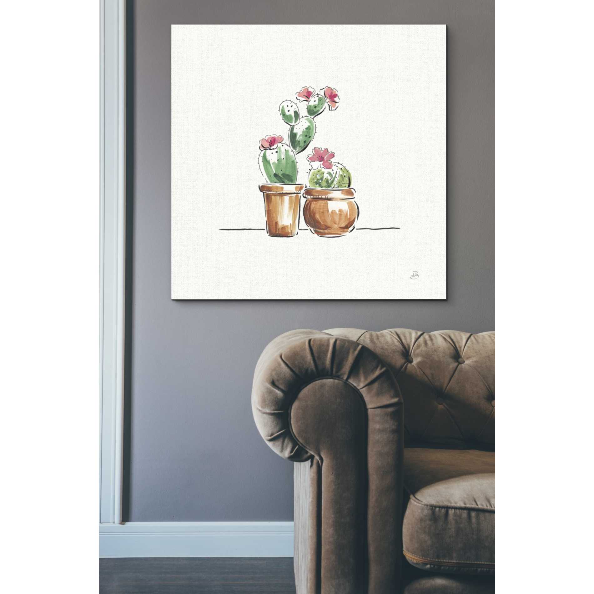 'Desert Bloom VII' by Daphne Brissonet, Canvas Wall Art,37 x 37