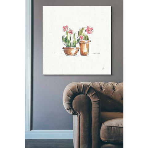 Image of 'Desert Bloom VI' by Daphne Brissonet, Canvas Wall Art,37 x 37