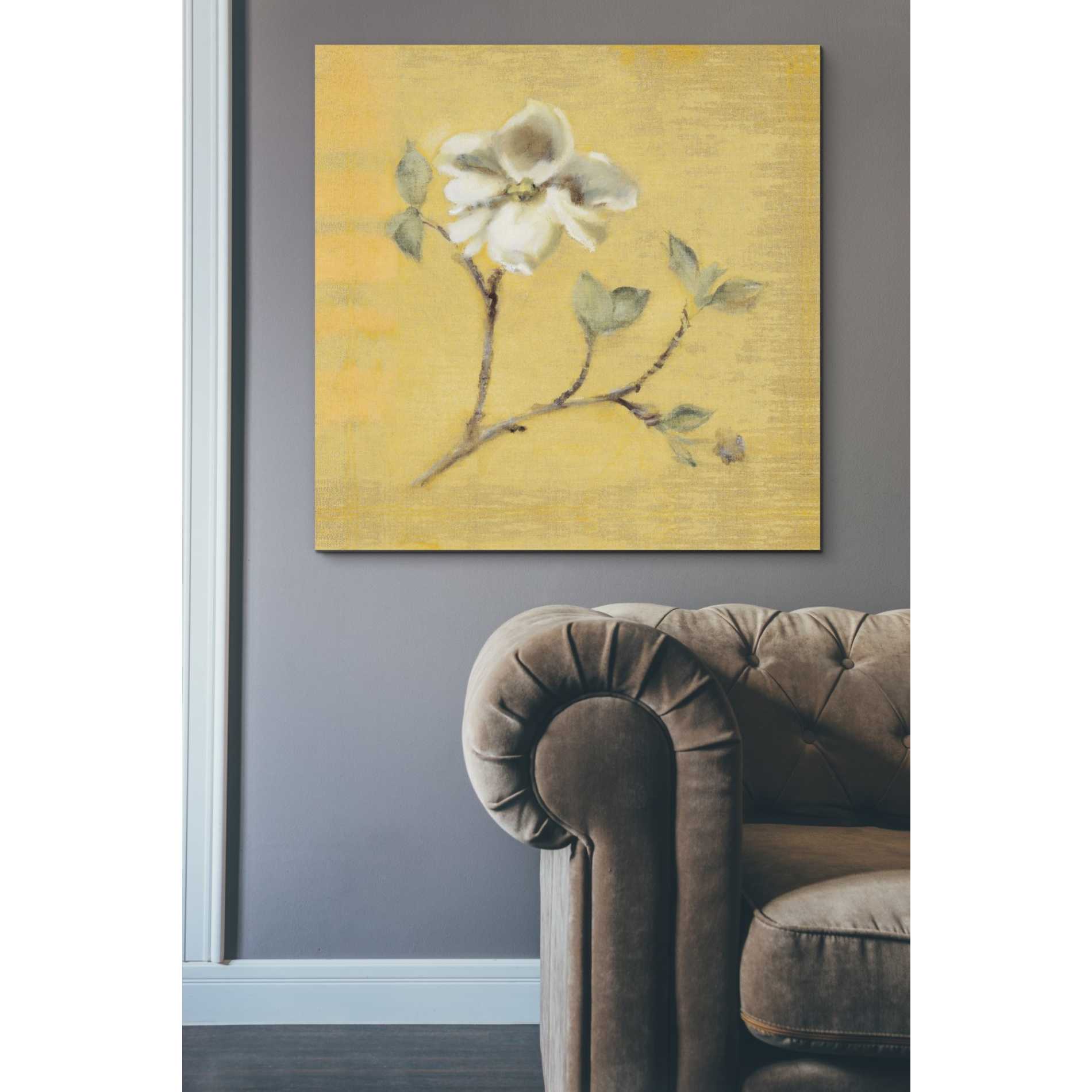 'Dogwood Blossom on Gold' by Cheri Blum, Canvas Wall Art,37 x 37