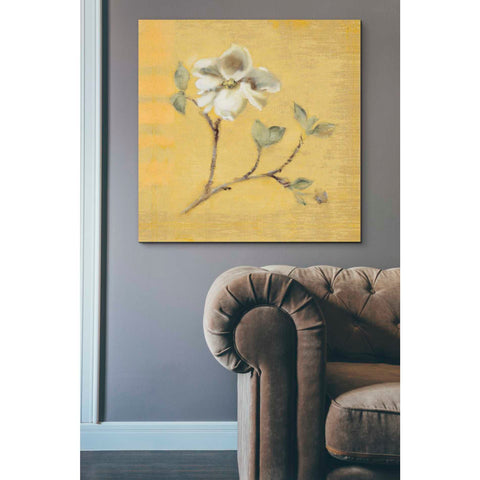 Image of 'Dogwood Blossom on Gold' by Cheri Blum, Canvas Wall Art,37 x 37