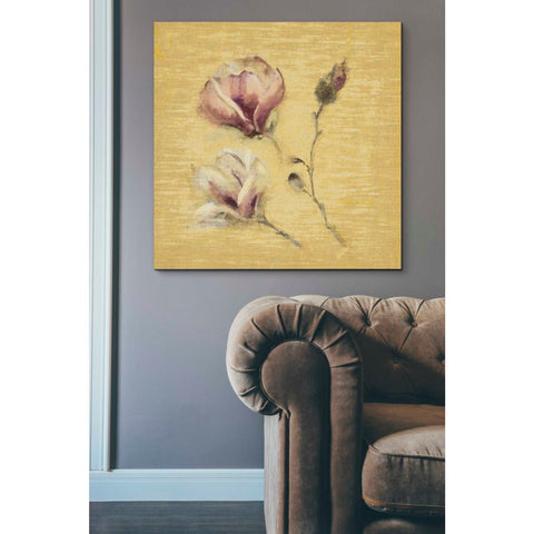 Image of 'Magnolia Blossom on Gold' by Cheri Blum, Canvas Wall Art,37 x 37