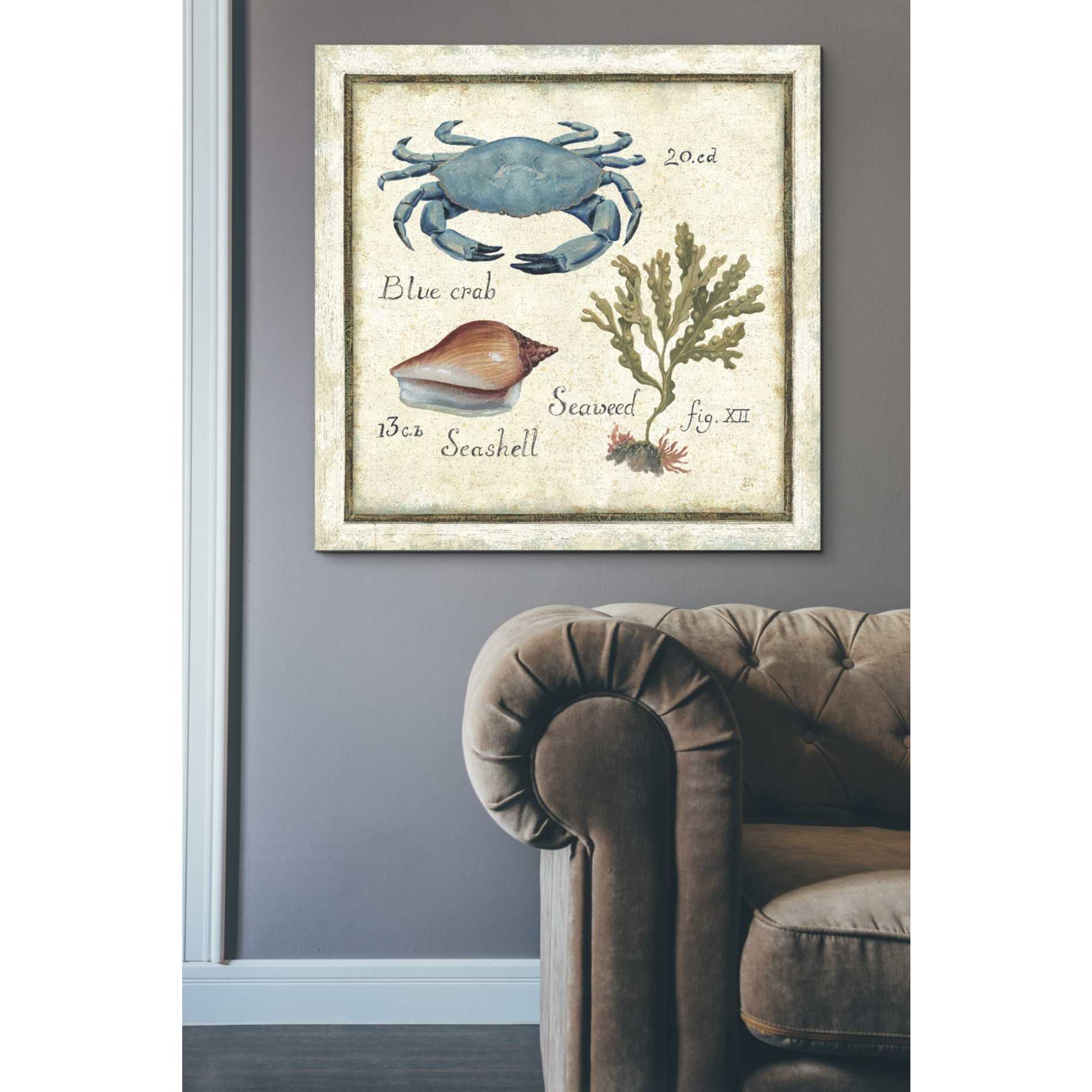 'Oceanography IV' by Daphne Brissonet, Canvas Wall Art,37 x 37