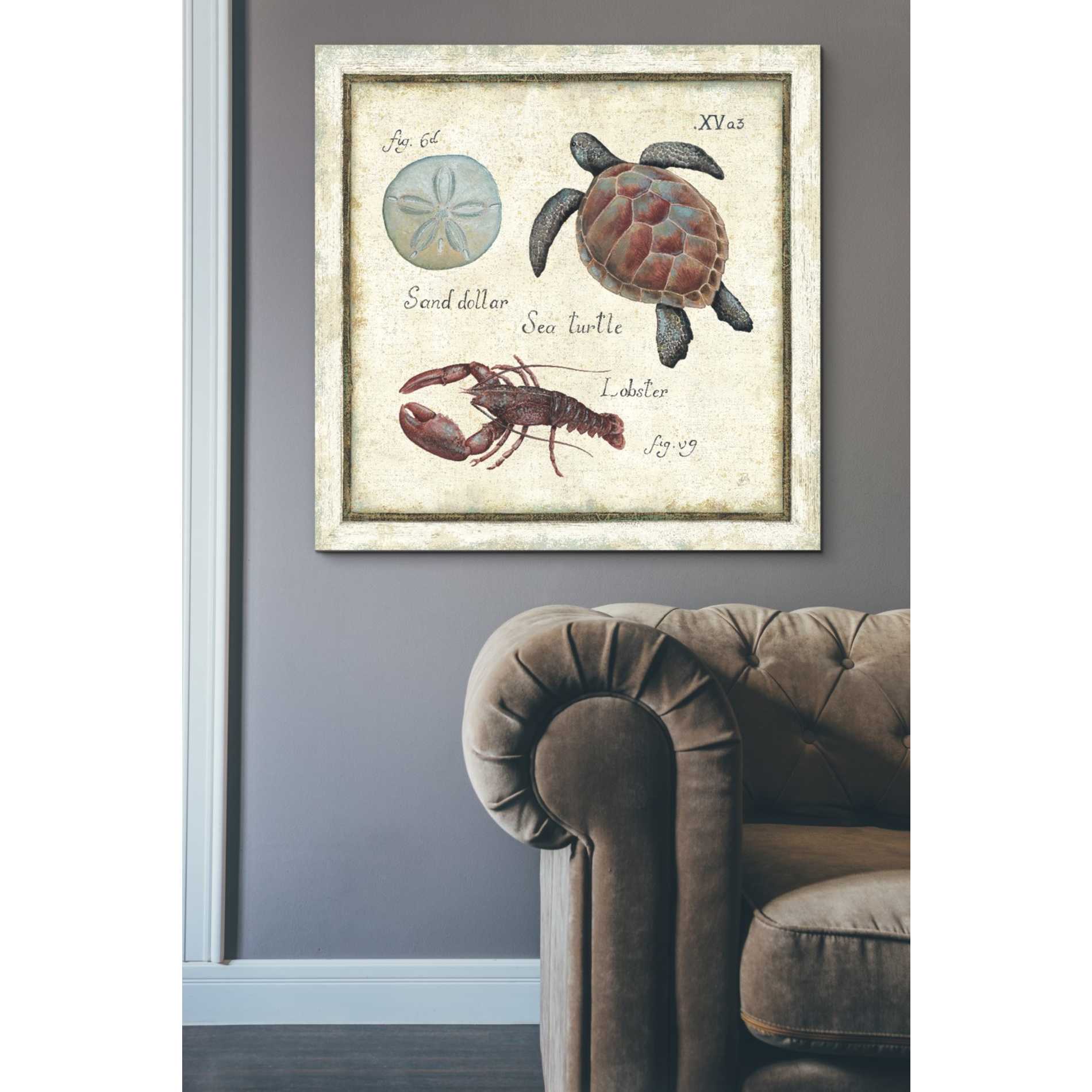 'Oceanography II' by Daphne Brissonet, Canvas Wall Art,37 x 37