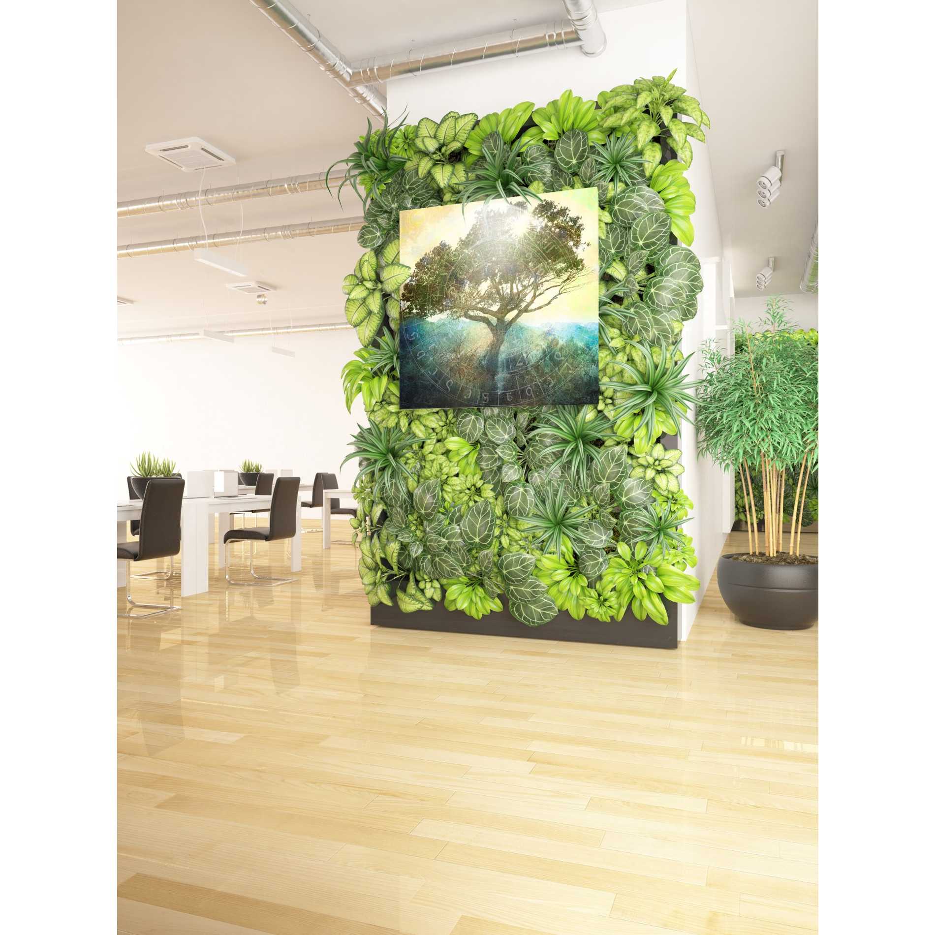 'Tree And Sun' by Elena Ray Canvas Wall Art,37 x 37