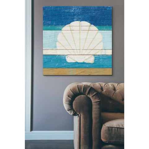 Image of 'Beachscape Shell v2' by Michael Mullan, Canvas Wall Art,37 x 37