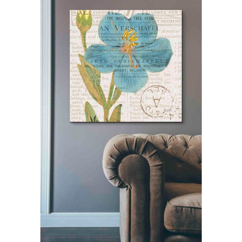 Image of 'Bookshelf Botanical VI' by Katie Pertiet, Canvas Wall Art,37 x 37