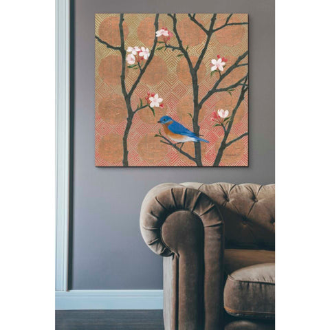 Image of 'Cherry Blossoms I' by Kathrine Lovell, Canvas Wall Art,37 x 37