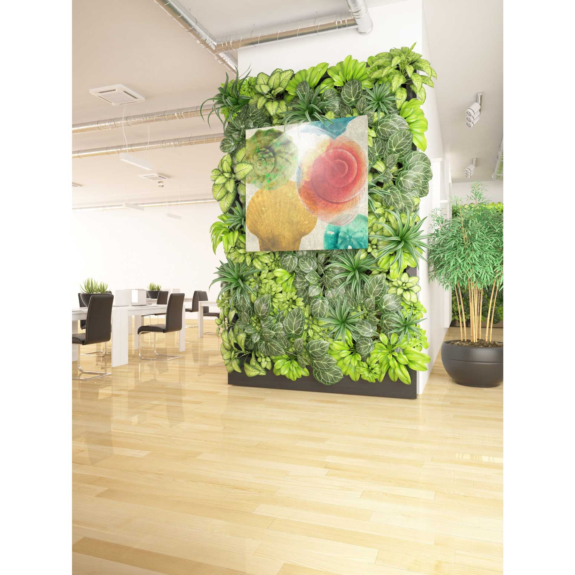 'Luminous Seashells 4' by Elena Ray Canvas Wall Art,37 x 37