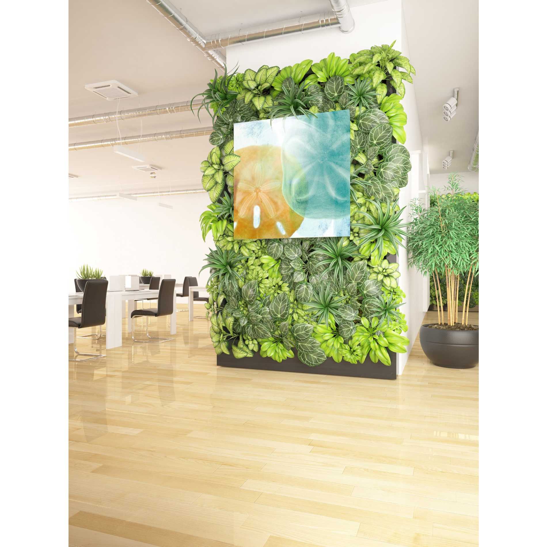 'Luminous Seashells' by Elena Ray Canvas Wall Art,37 x 37