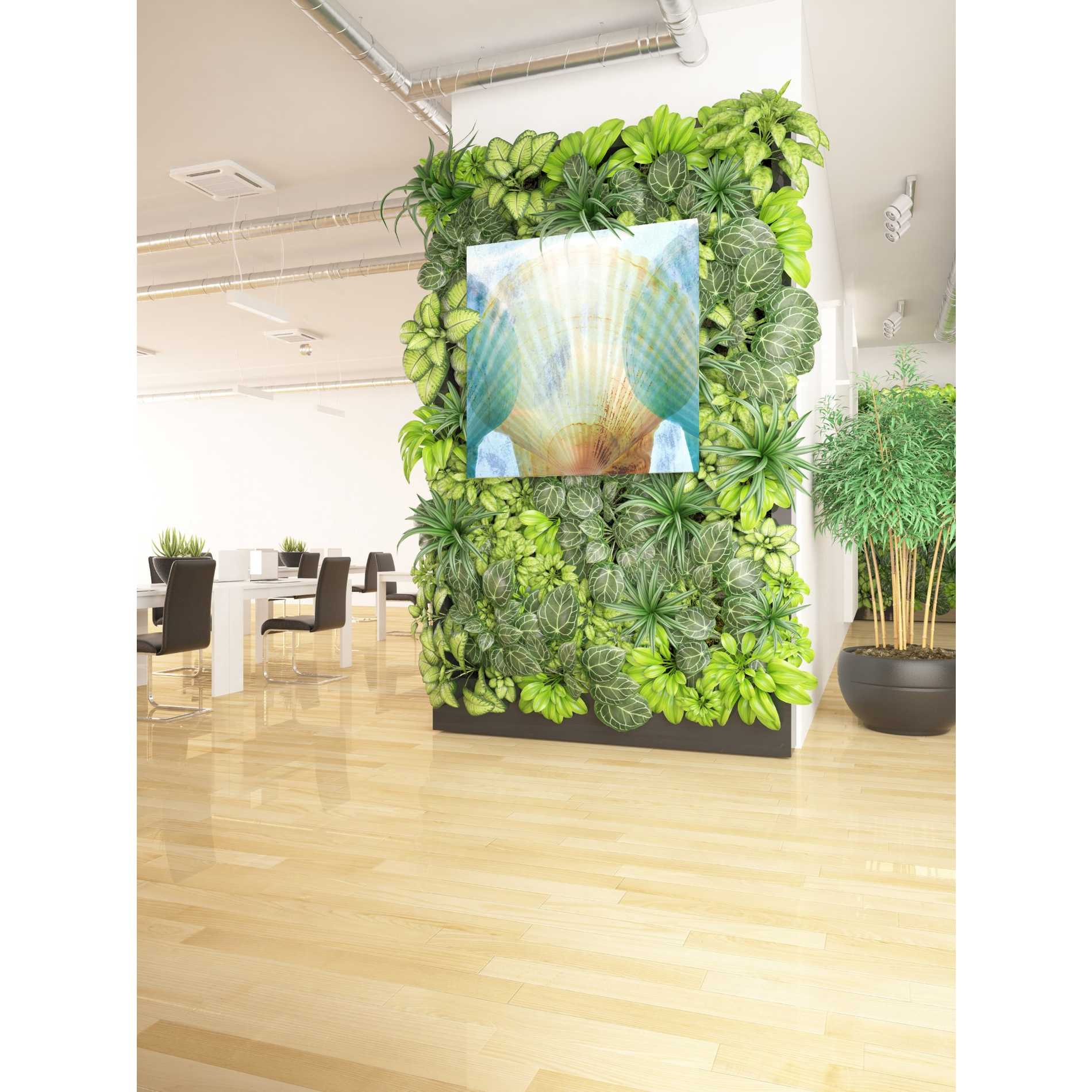 'Luminous Seashells 2' by Elena Ray Canvas Wall Art,37 x 37