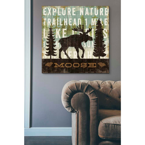 Image of 'Simple Living Moose' by Michael Mullan, Canvas Wall Art,37 x 37