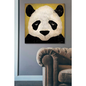 'Panda' by Ryan Fowler, Canvas Wall Art,37 x 37