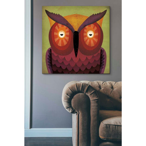 Image of 'Owl Wow' by Ryan Fowler, Canvas Wall Art,37 x 37