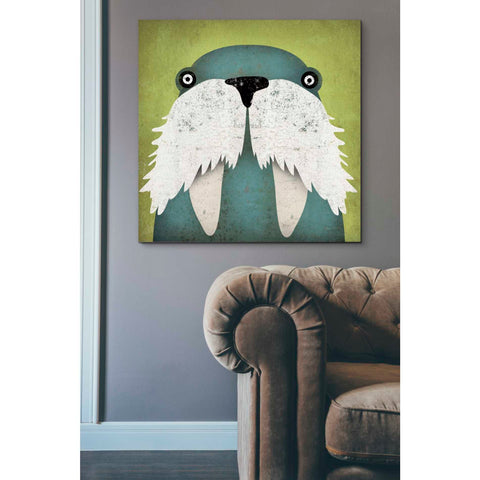 Image of 'Walrus' by Ryan Fowler, Canvas Wall Art,37 x 37