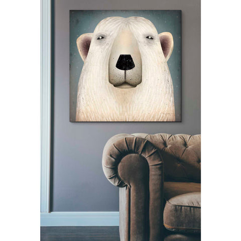 Image of 'Polar Bear Wow' by Ryan Fowler, Canvas Wall Art,37 x 37