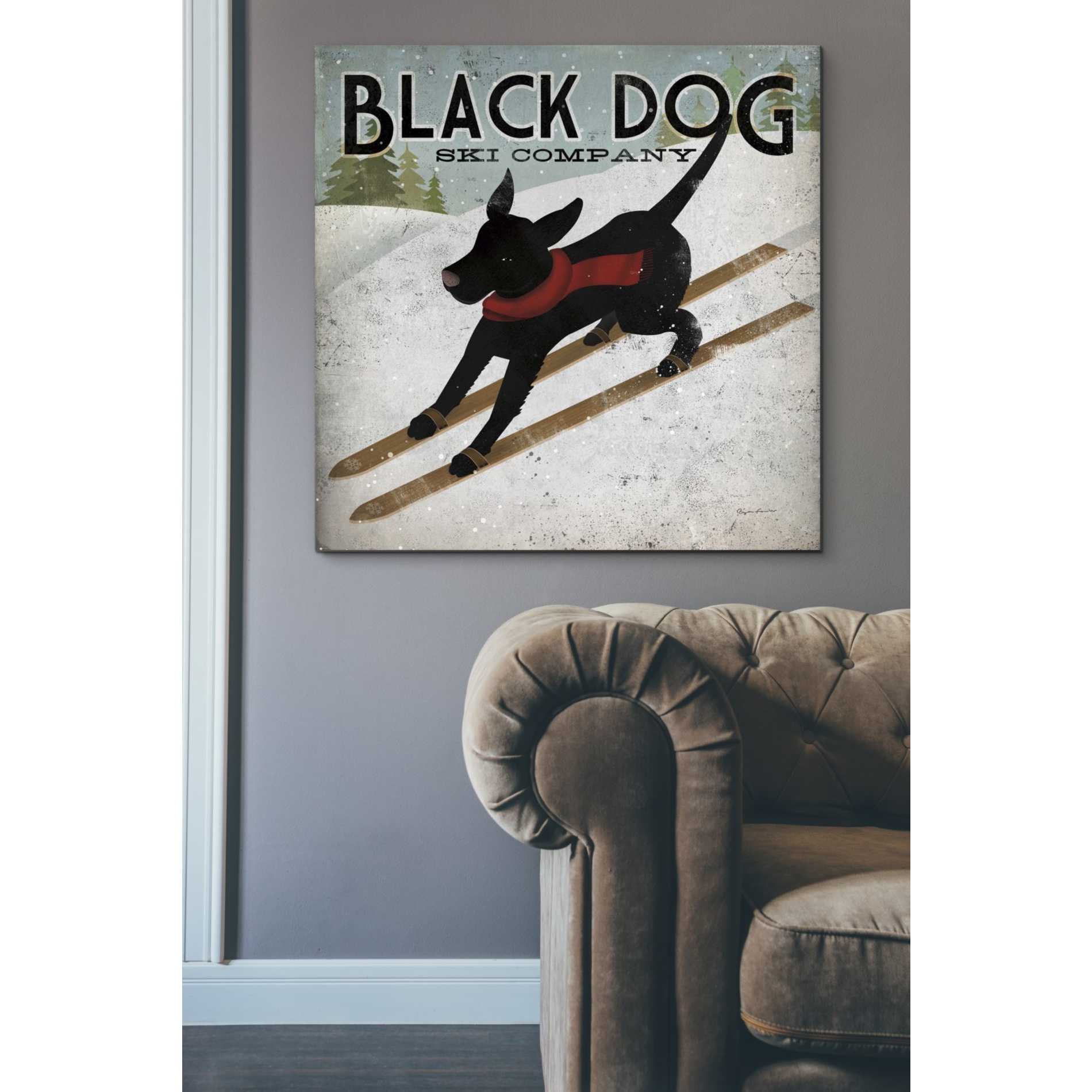 'Black Dog Ski' by Ryan Fowler, Canvas Wall Art,37 x 37