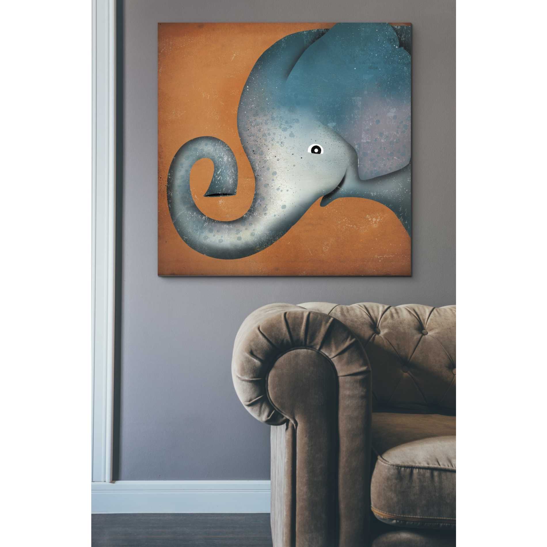 'Elephant Wow' by Ryan Fowler, Canvas Wall Art,37 x 37
