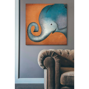 'Elephant Wow' by Ryan Fowler, Canvas Wall Art,37 x 37