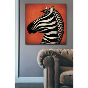 'Zebra Wow' by Ryan Fowler, Canvas Wall Art,37 x 37