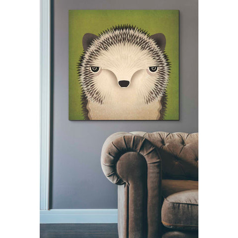 Image of 'Baby Hedgehog' by Ryan Fowler, Canvas Wall Art,37 x 37