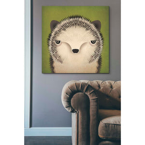 'Baby Hedgehog' by Ryan Fowler, Canvas Wall Art,37 x 37