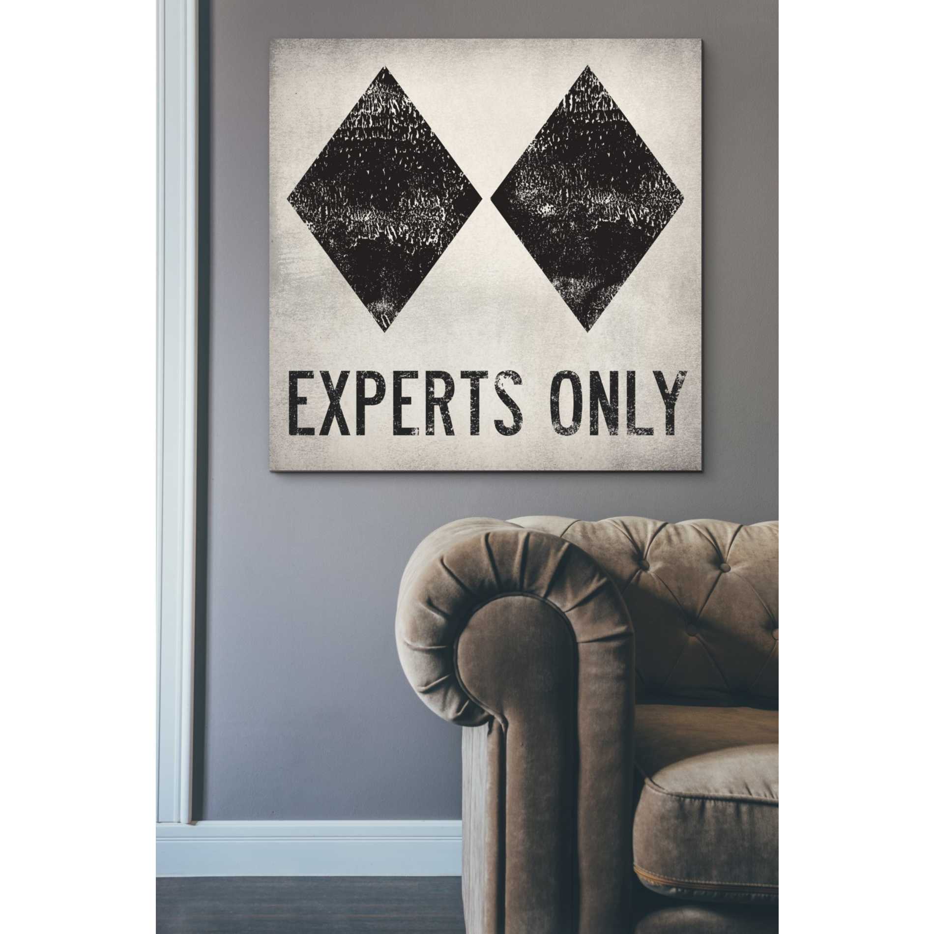 'Experts Only White' by Ryan Fowler, Canvas Wall Art,37 x 37