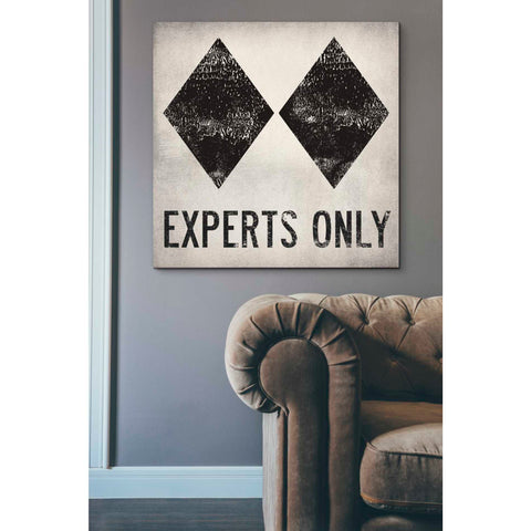Image of 'Experts Only White' by Ryan Fowler, Canvas Wall Art,37 x 37