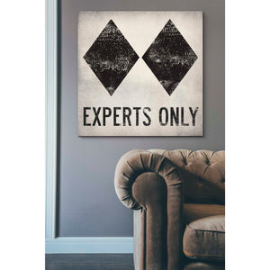 'Experts Only White' by Ryan Fowler, Canvas Wall Art,37 x 37