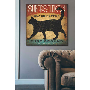 'Superstition Black Pepper Cat' by Ryan Fowler, Canvas Wall Art,37 x 37