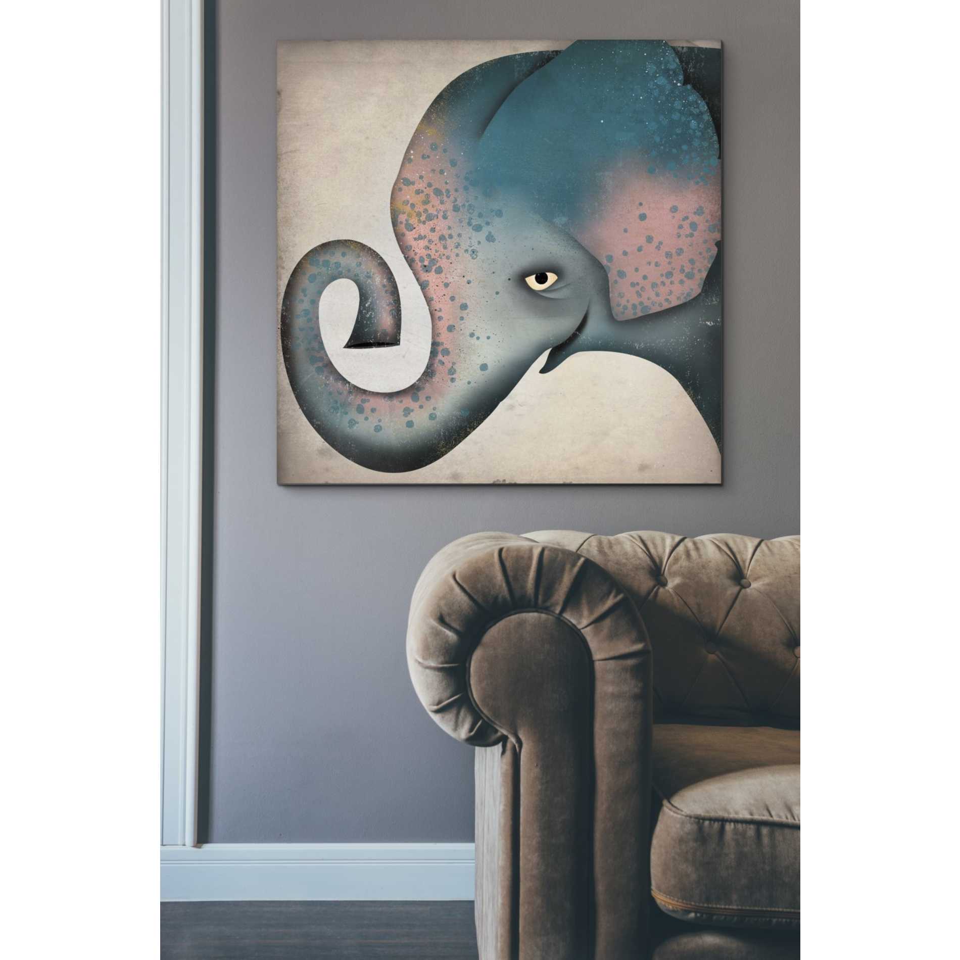 'Elephant Wow II' by Ryan Fowler, Canvas Wall Art,37 x 37