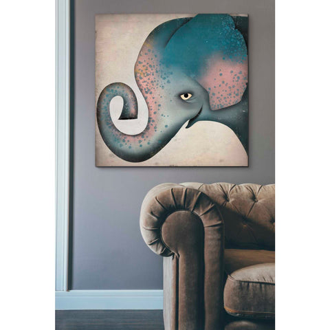 Image of 'Elephant Wow II' by Ryan Fowler, Canvas Wall Art,37 x 37