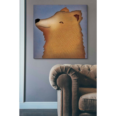 Image of 'Brown Bear Wow' by Ryan Fowler, Canvas Wall Art,37 x 37