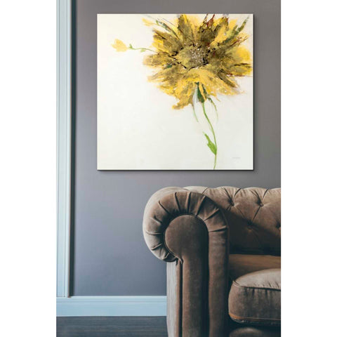 Image of 'Yellow Daisy on White' by Jan Griggs, Giclee Canvas Wall Art