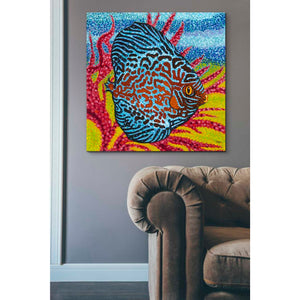 'Brilliant Tropical Fish II' by Carolee Vitaletti Giclee Canvas Wall Art