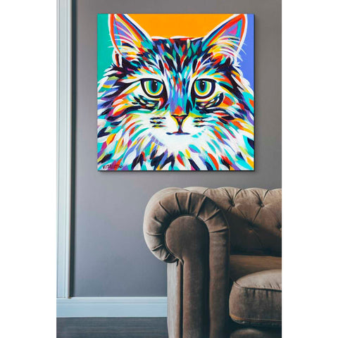 Image of 'Dramatic Cats I' by Carolee Vitaletti Giclee Canvas Wall Art