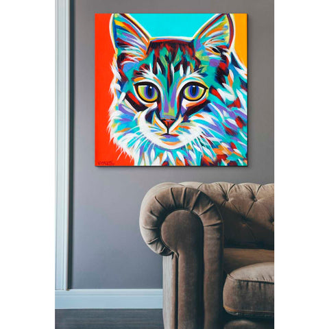 Image of 'Dramatic Cats II' by Carolee Vitaletti Giclee Canvas Wall Art