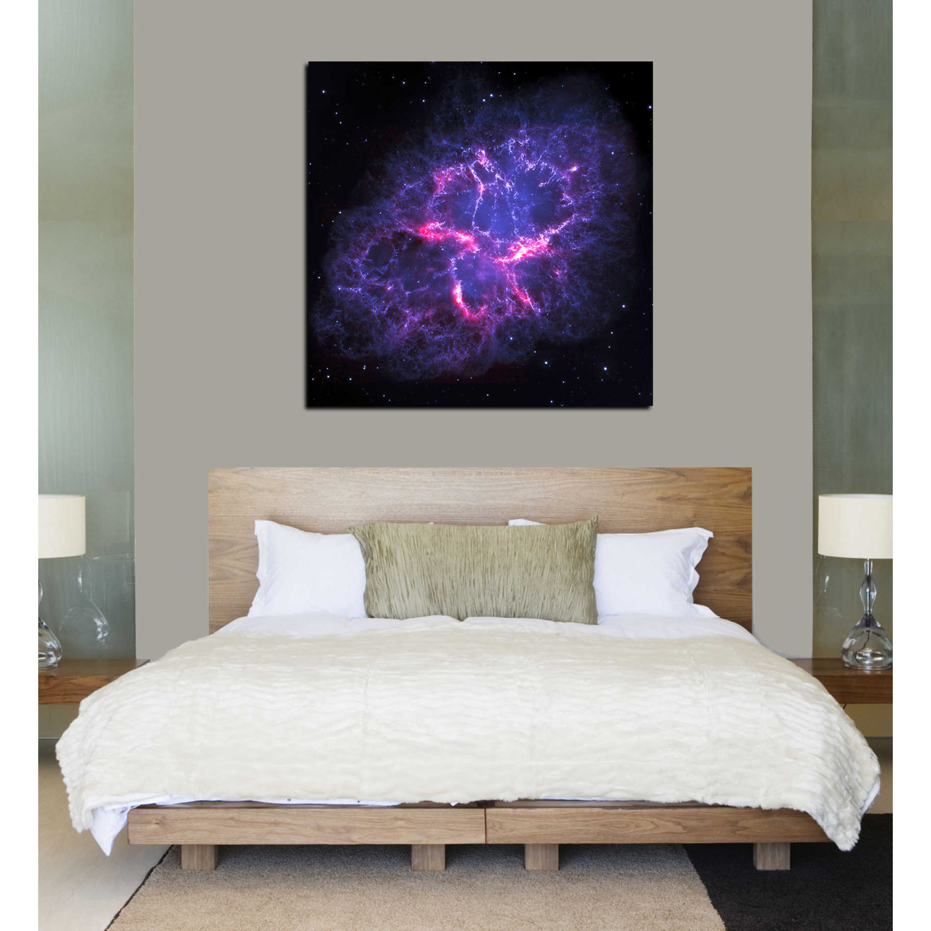 'Crab Nebula' Hubble Space Telescope Canvas Wall Art,37 x 37