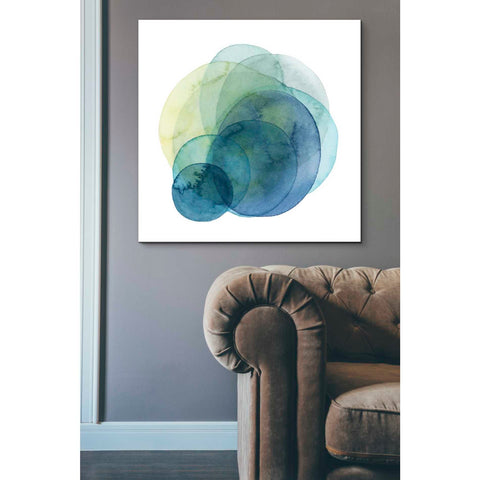 Image of 'Evolving Planets IV' by Grace Popp Canvas Wall Art,37 x 37