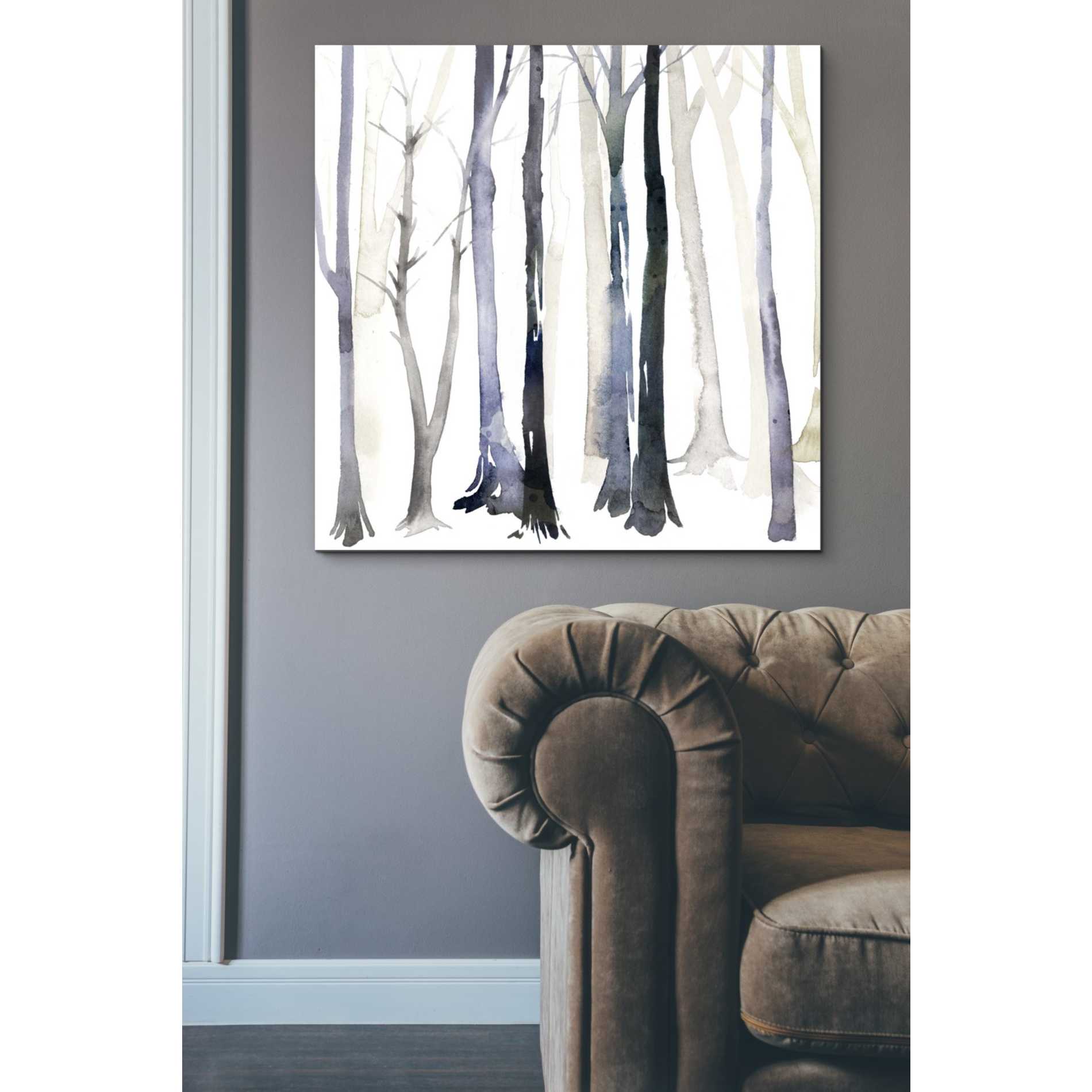 'In the Forest II' by Grace Popp Canvas Wall Art,37 x 37