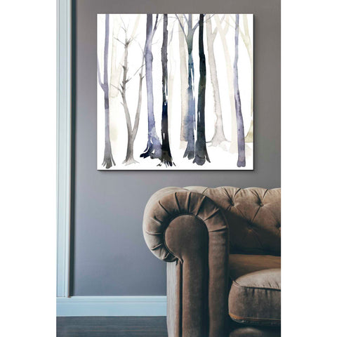 Image of 'In the Forest II' by Grace Popp Canvas Wall Art,37 x 37