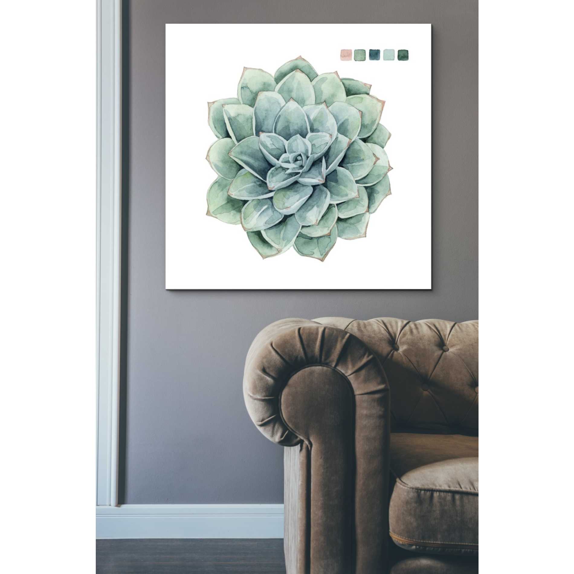 'Succulent I' by Grace Popp Canvas Wall Art,37 x 37