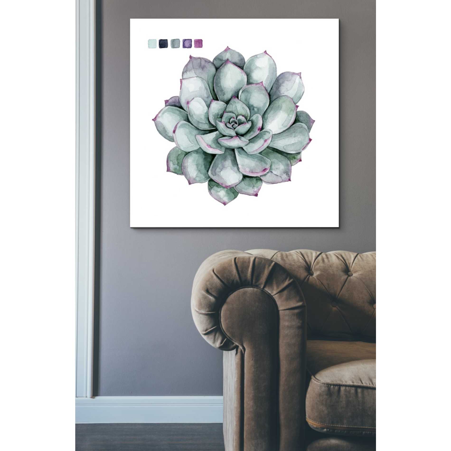 'Succulent II' by Grace Popp Canvas Wall Art,37 x 37