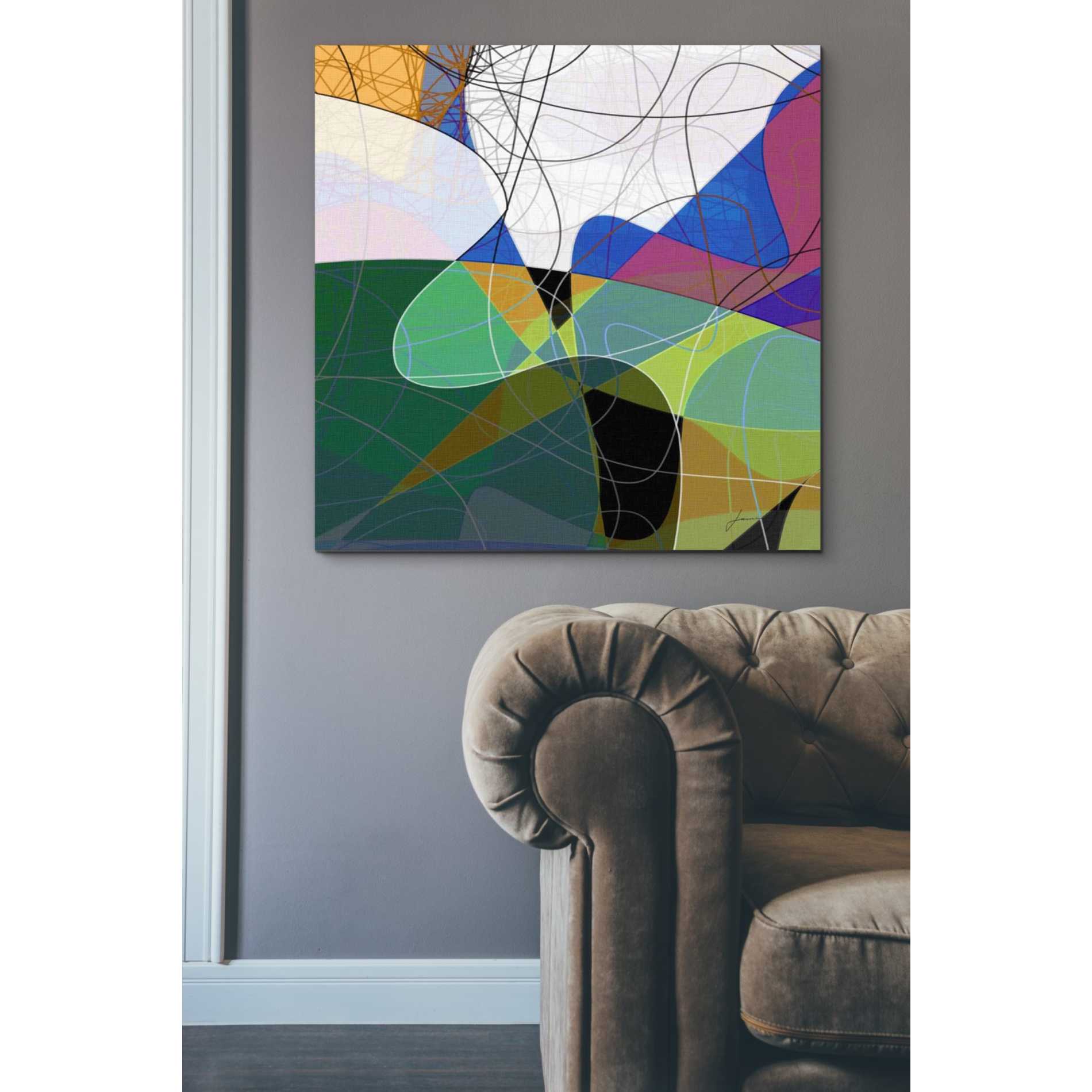 'Entangled I' by James Burghardt Giclee Canvas Wall Art