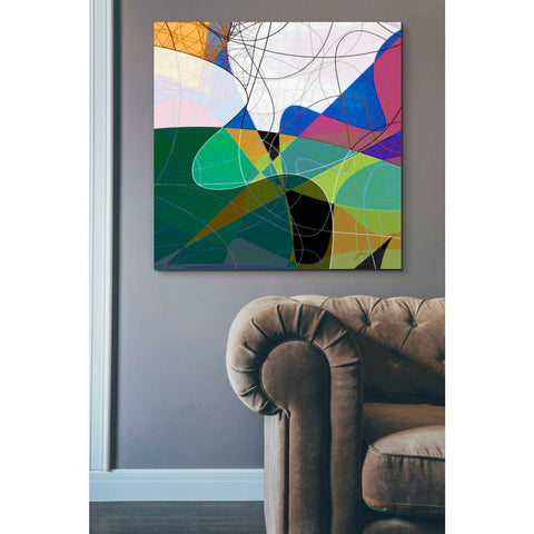 Image of 'Entangled I' by James Burghardt Giclee Canvas Wall Art