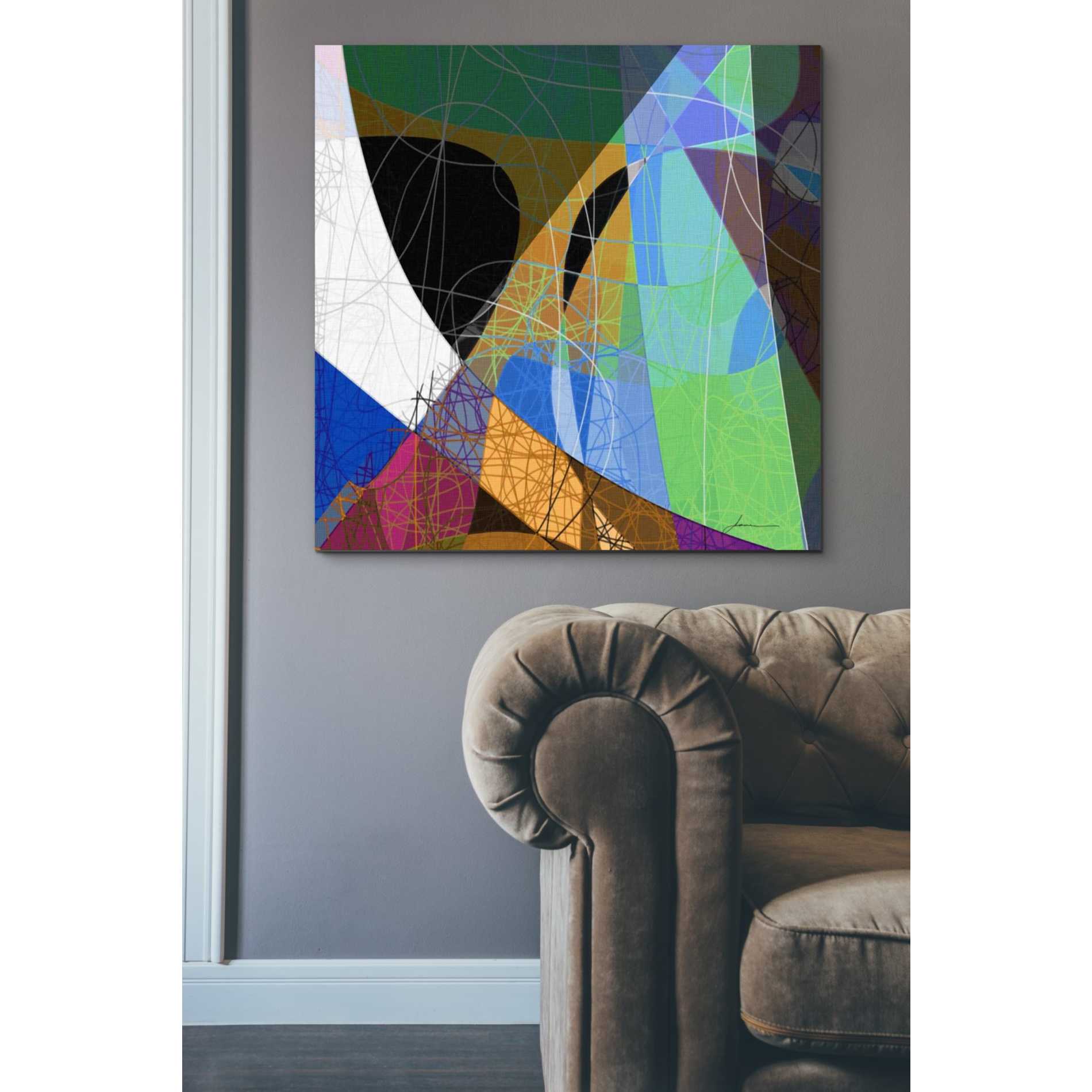 'Entangled II' by James Burghardt Giclee Canvas Wall Art