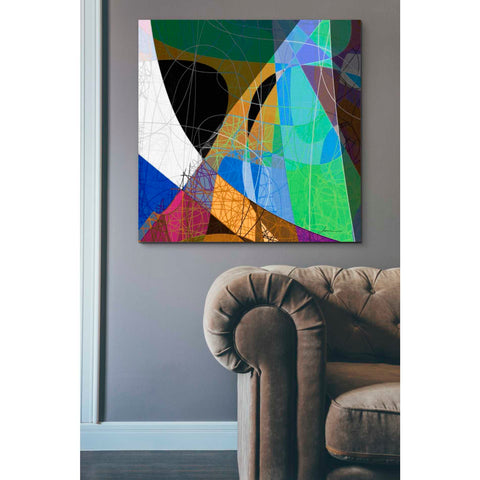 Image of 'Entangled II' by James Burghardt Giclee Canvas Wall Art