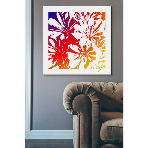 Image of 'Floral Brights I' by James Burghardt Giclee Canvas Wall Art