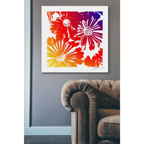 Image of 'Floral Brights II' by James Burghardt Giclee Canvas Wall Art