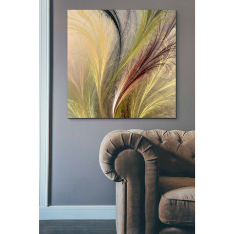 Image of 'Fountain Grass I' by James Burghardt Giclee Canvas Wall Art