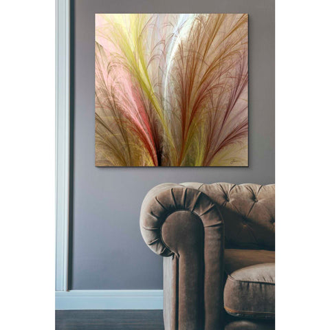Image of 'Fountain Grass II' by James Burghardt Giclee Canvas Wall Art